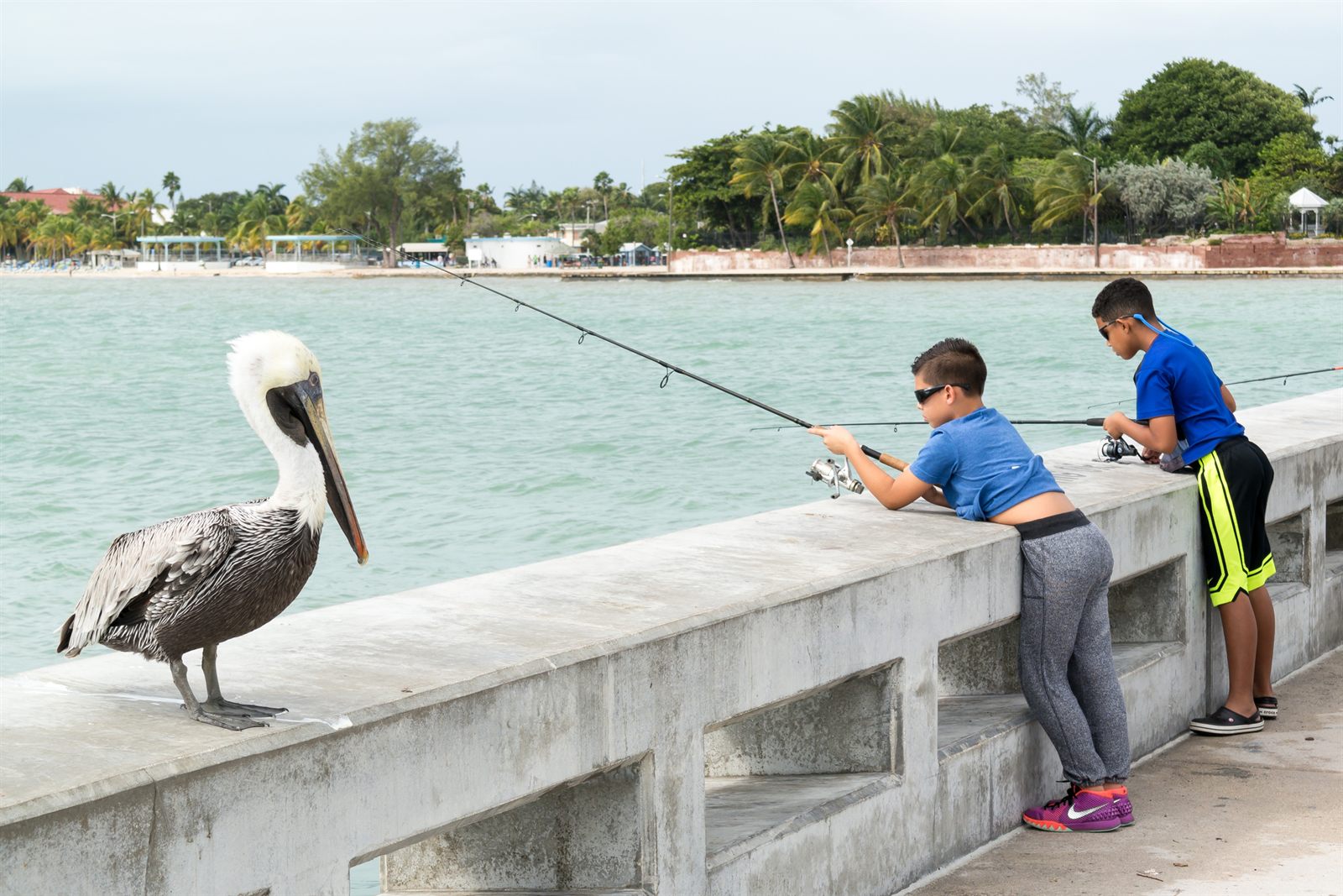Two boys fishing from a pier while a pelican watches