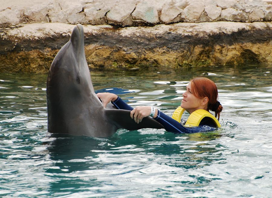 Child swimming beside a dolphin