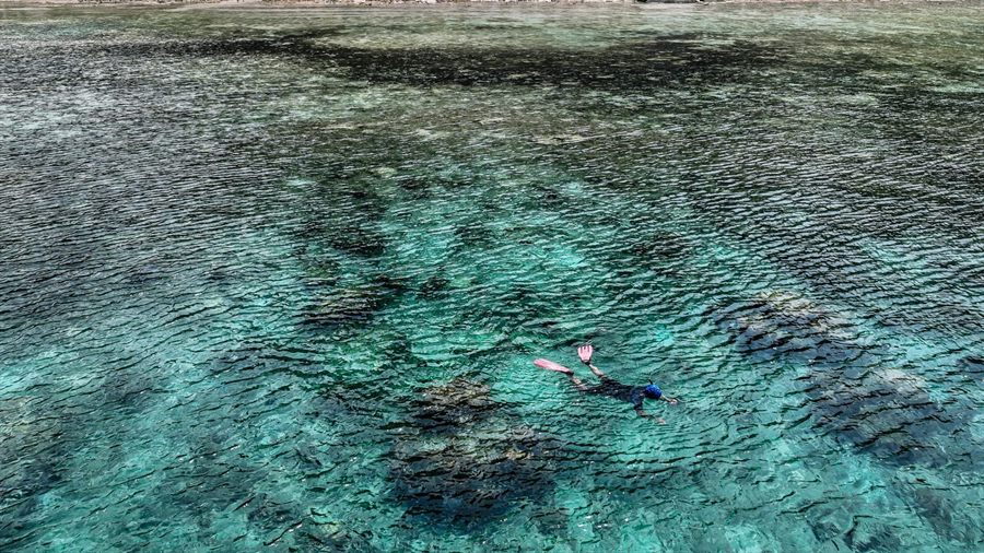 Snorkeler on a coral reef